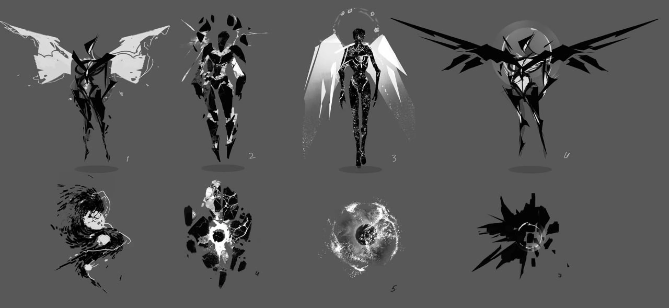 Phoenix — Shape Studies